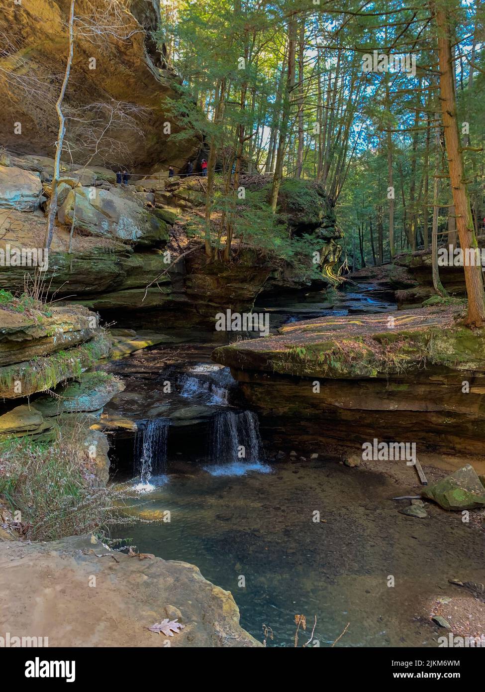 Rocky stream in a green forest hi-res stock photography and images - Alamy