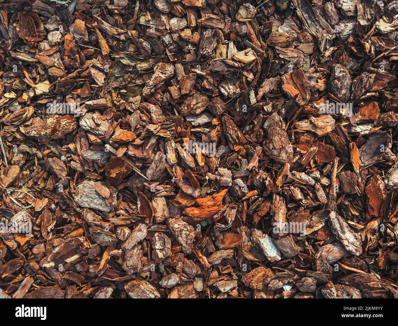 Wood bark chippings texture top view as background Stock Photo