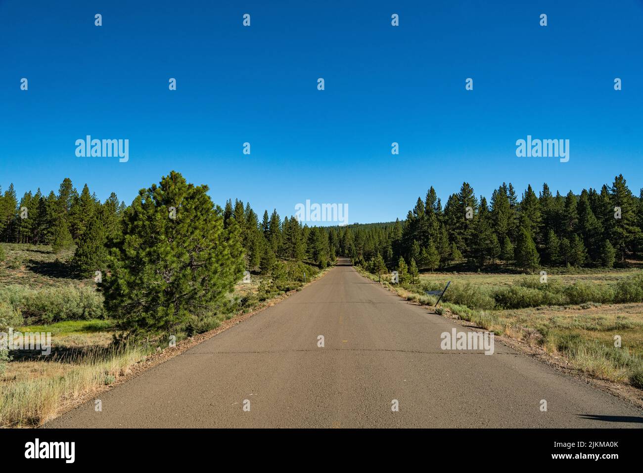 Road passes through a mountain meadow in Sierra Nevada highlands of