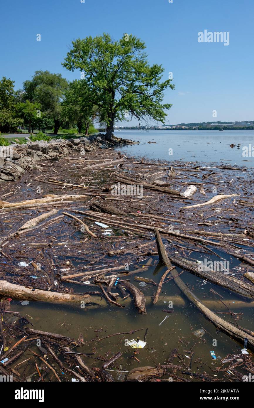 Trash, Rubbish by a River (Potomac River, Alexandria, VA, USA) Stock Photo