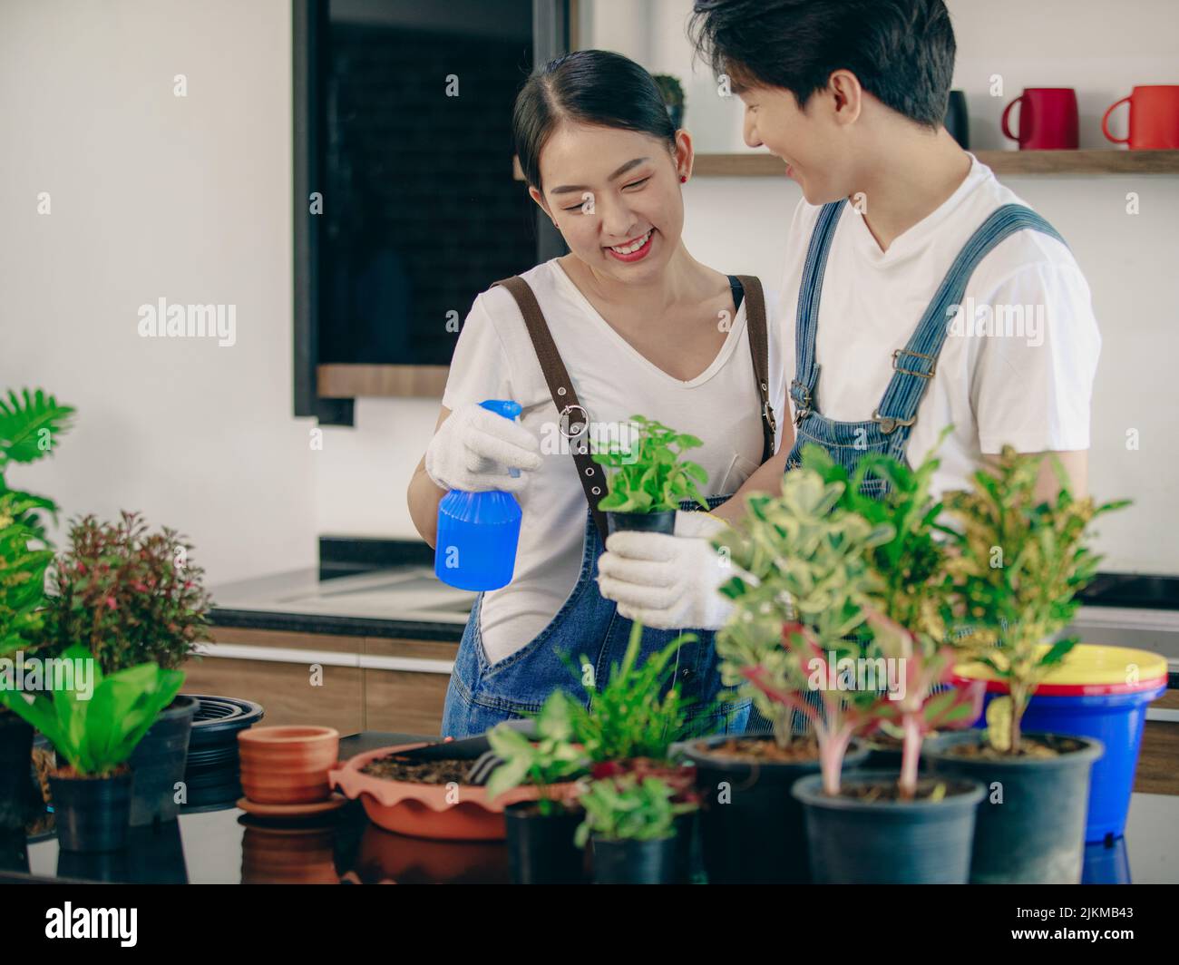Southeast asian plants hi-res stock photography and images - Alamy