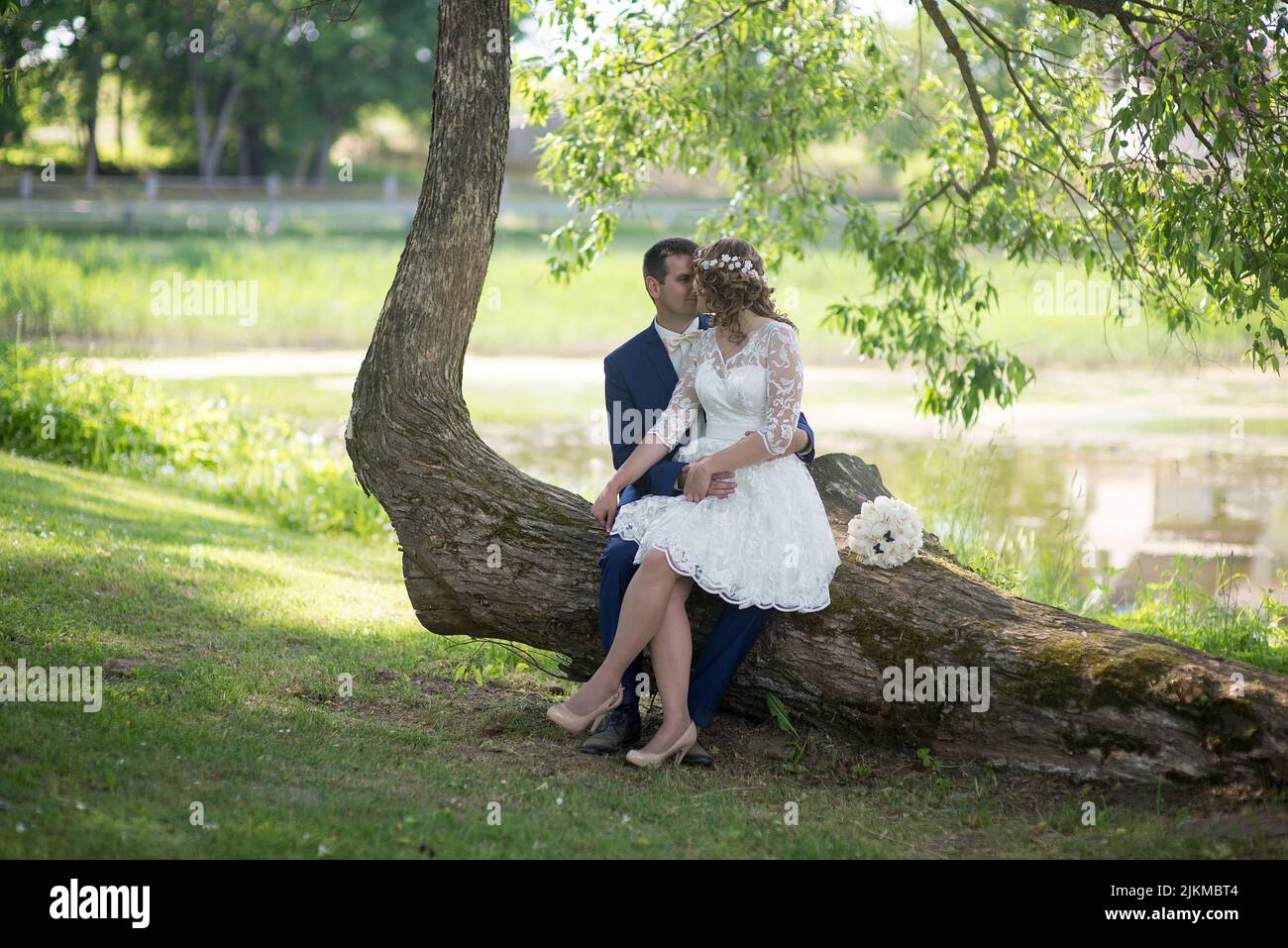 A happy Caucasian newlywed sitting under a tree while looking at each other Stock Photo