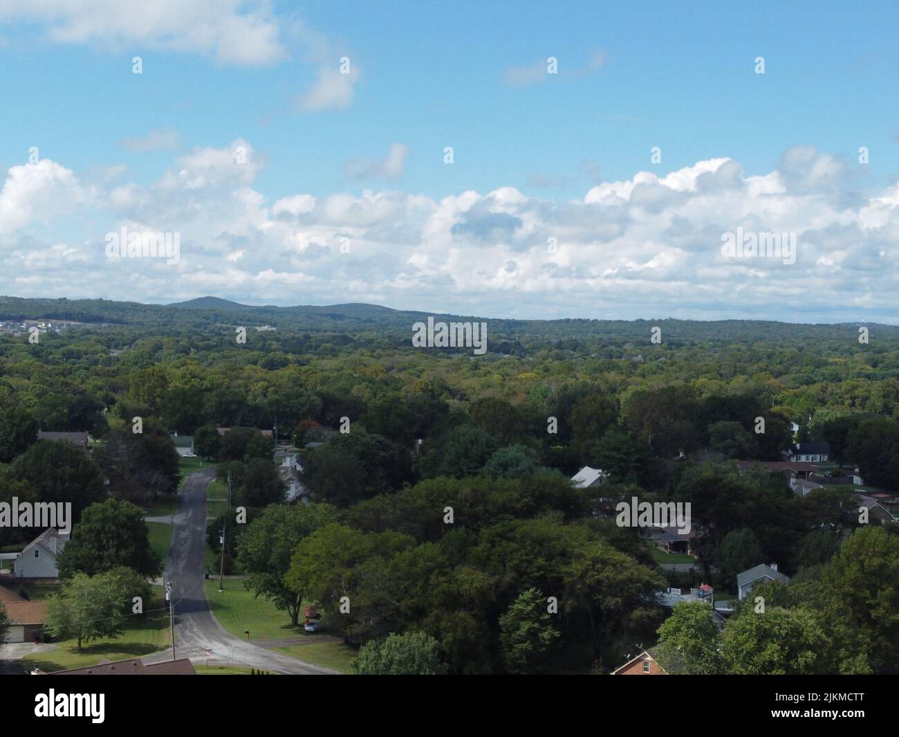 A panoramic view of green forest Stock Photo - Alamy