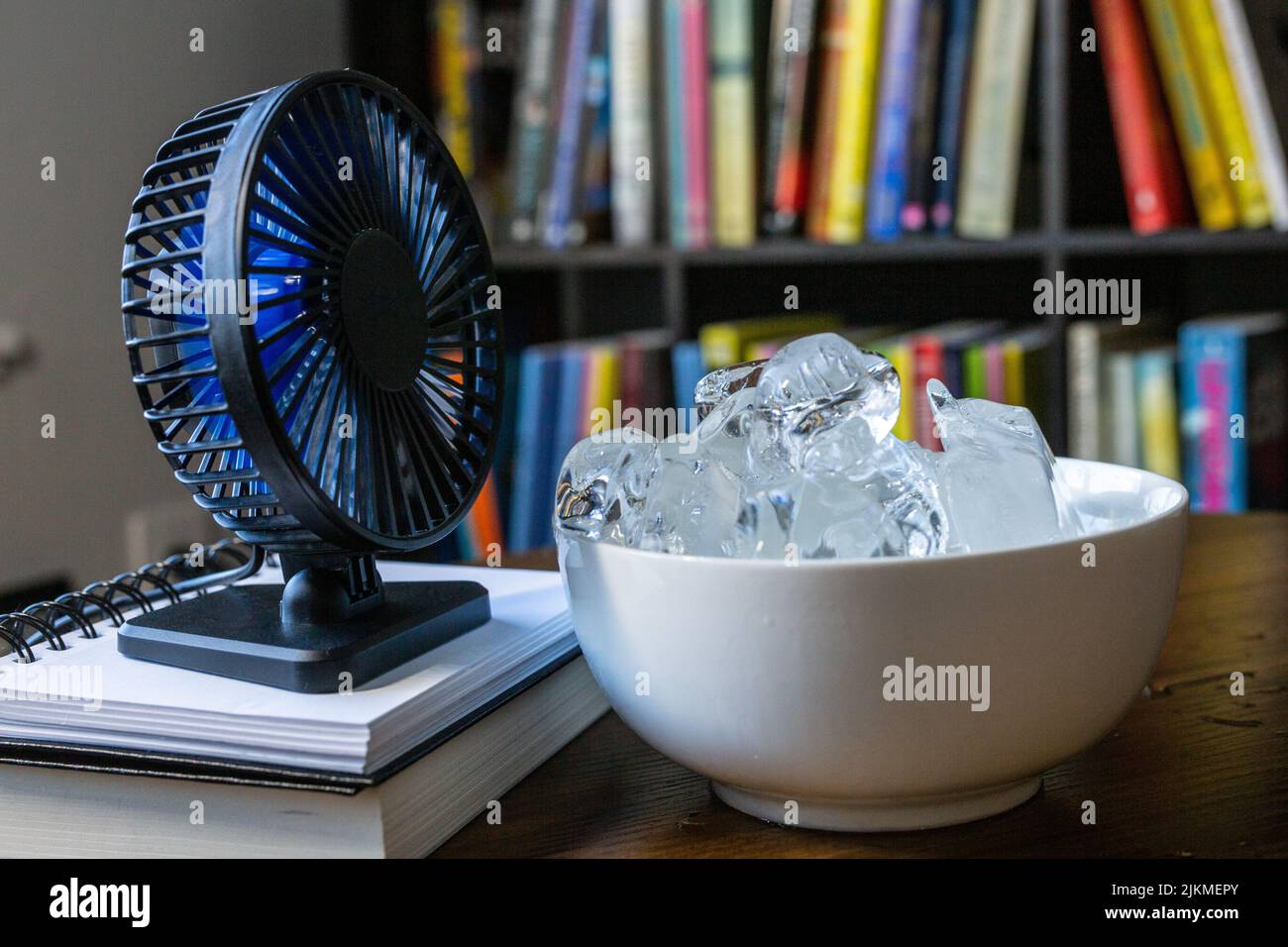 Diy fan sales cooler with ice