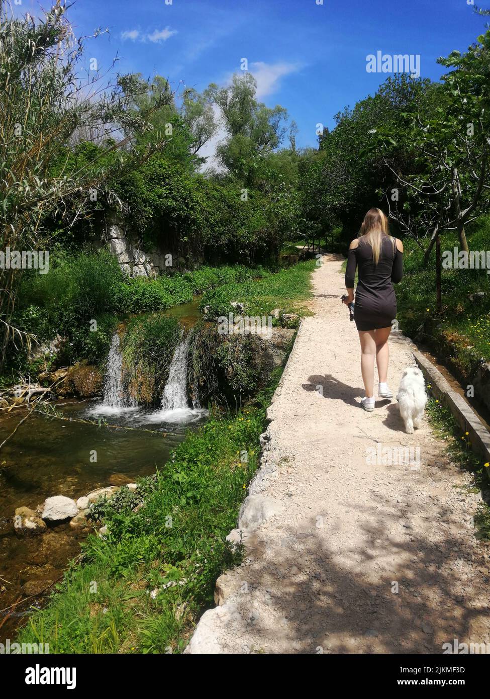 A vertical of a female with its dog seen from behind, walking in a park near a pond Stock Photo