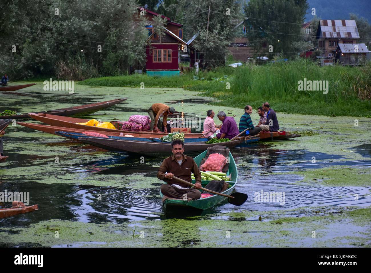 Srinagar, Kashmir, India. 2nd Aug, 2022. A Kashmiri man rows a boat ferrying vegetables in the depth of Dal lake. Dal Lake is famed for its floating vegetable market which supplies varieties of vegetables all year to many towns across the Kashmir valley. This floating vegetable market comprises of many floating gardens as well as local varieties of organic vegetables. It is one of the very famous floating markets in the world. The vegetable market opens at 4'o clock in the morning even before the sun rises and closes within the next two hours. (Credit Image: © Saqib Majeed/SOPA Images via Z Stock Photo