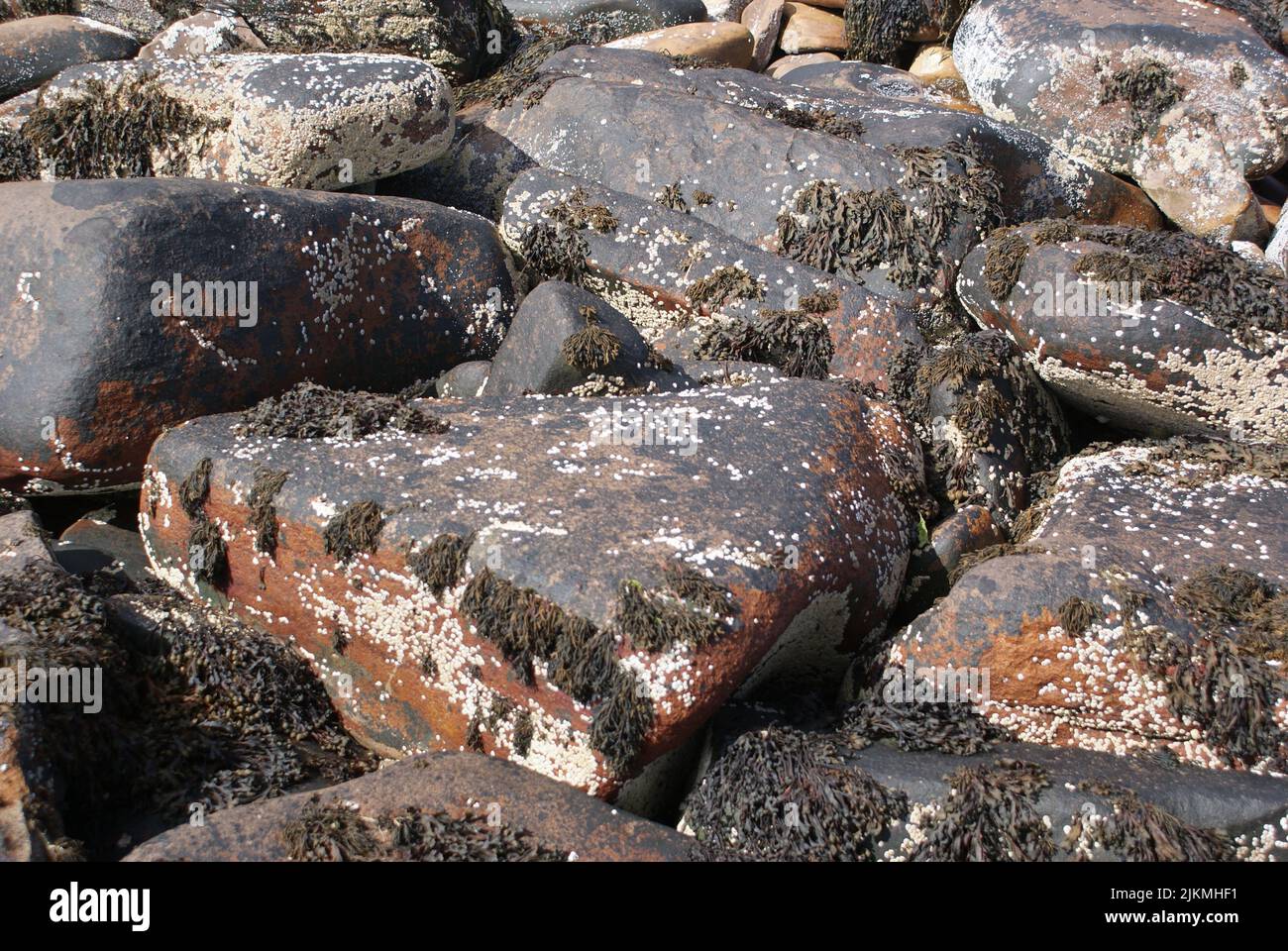 Aged rocks with lichen in the sun Stock Photo - Alamy