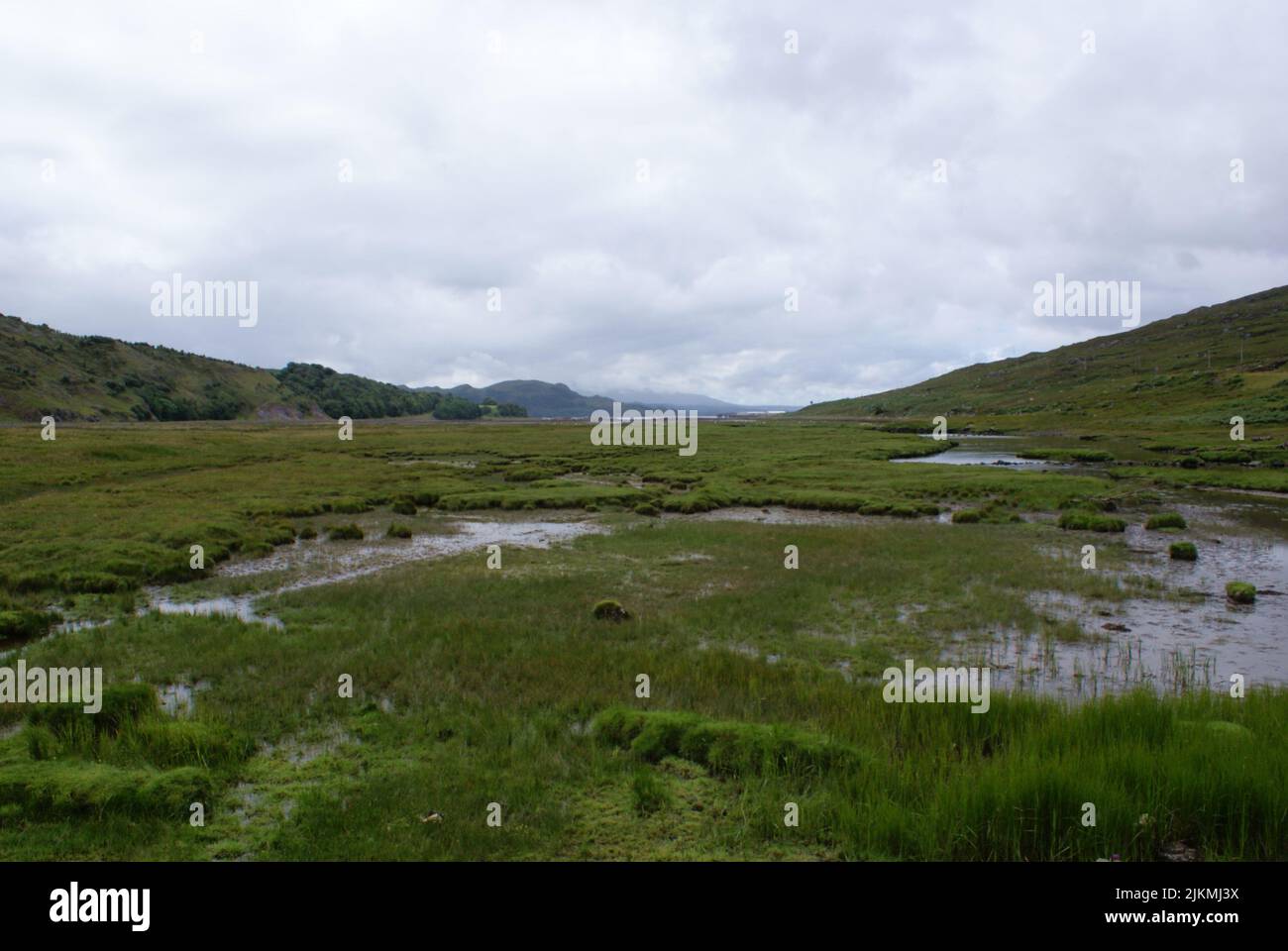 A beautiful view of green landscape with water puddles under a cloudy sky in Scotland Stock Photo