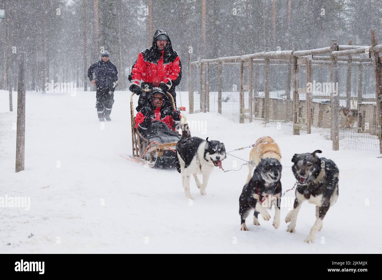 Husky Rde A view of Husky ride in Lapland in the snow in Finland Stock Photo - Alamy