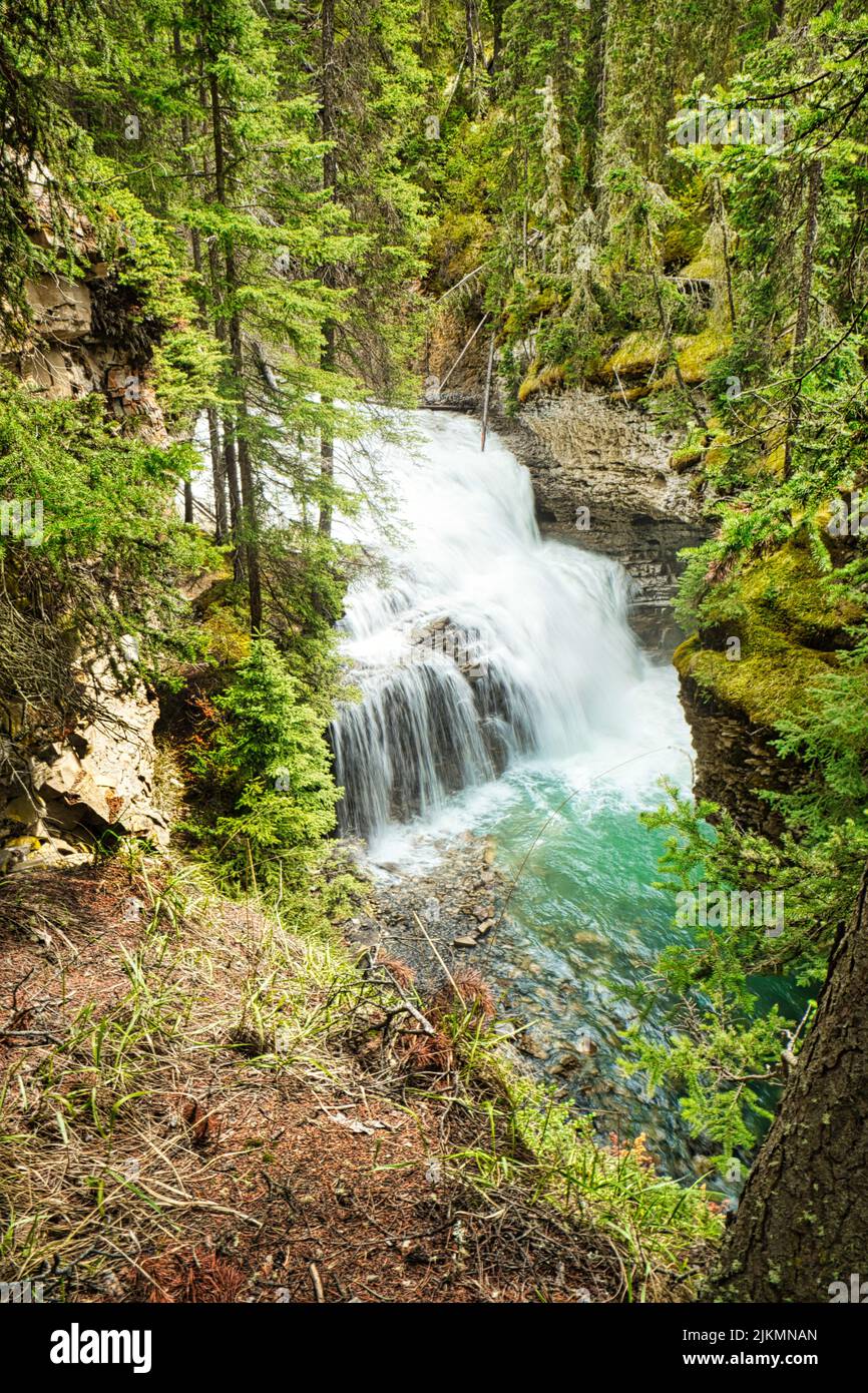 A vertical shot of the beautiful waterfall in the forest surrounded by ...