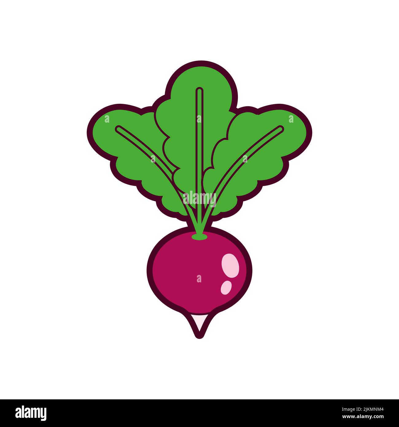 Radish isolated. vegetable garden plant Vector illustration Stock