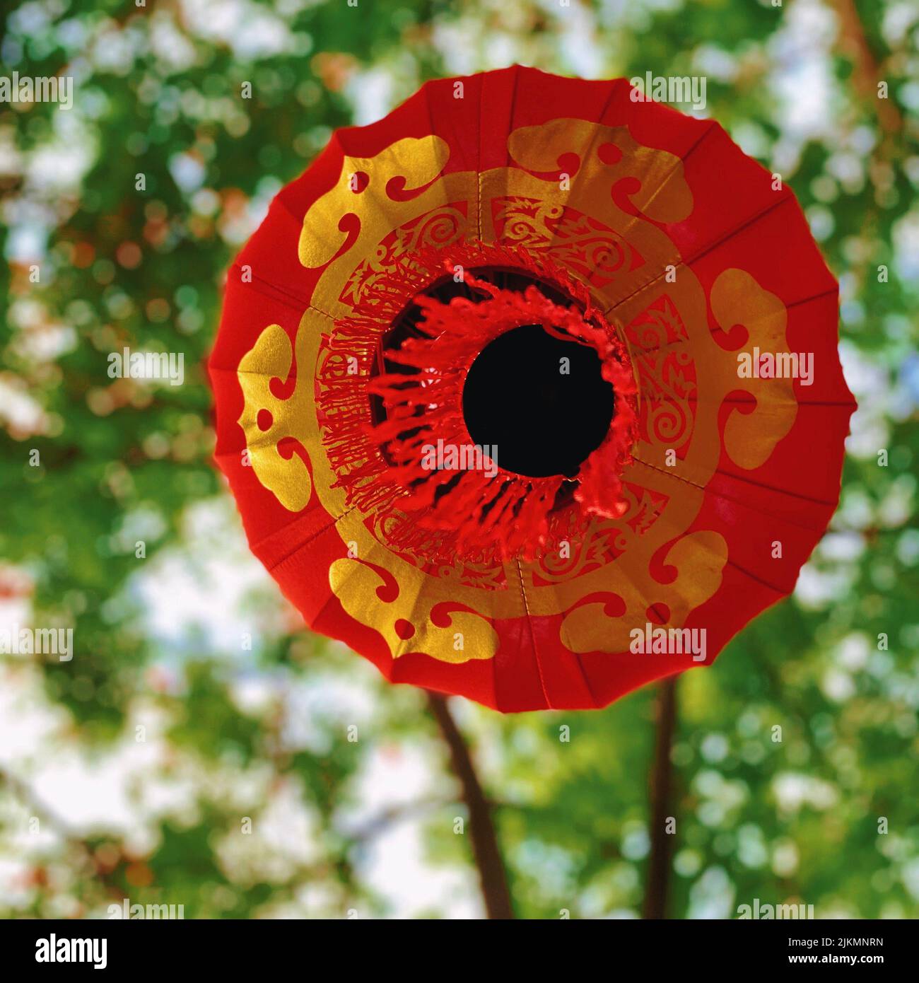 Chinese lantern tree hi-res stock photography and images - Alamy