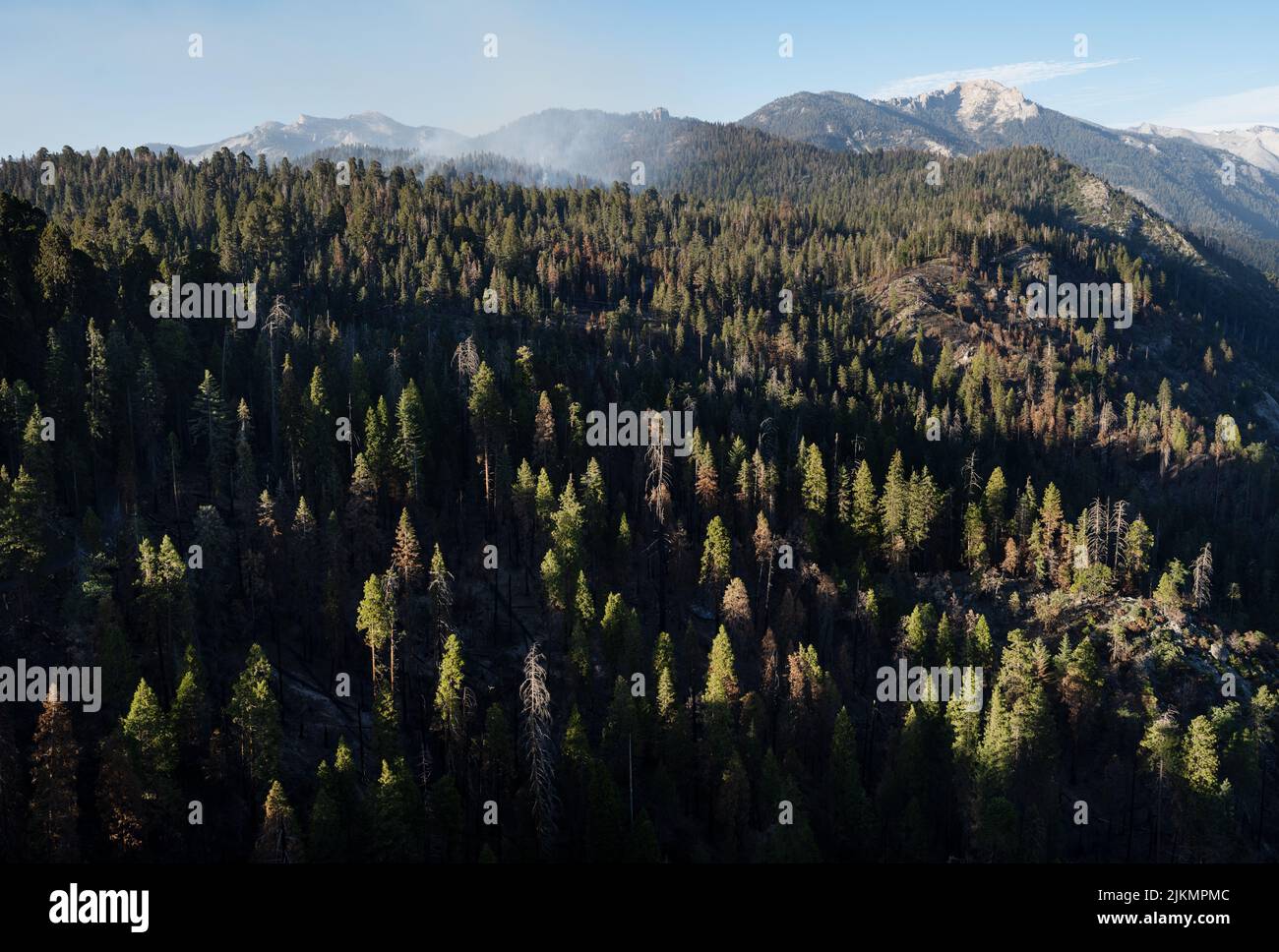 View of the Sierra Nevada mountains, Sequoia National Park, California Stock Photo