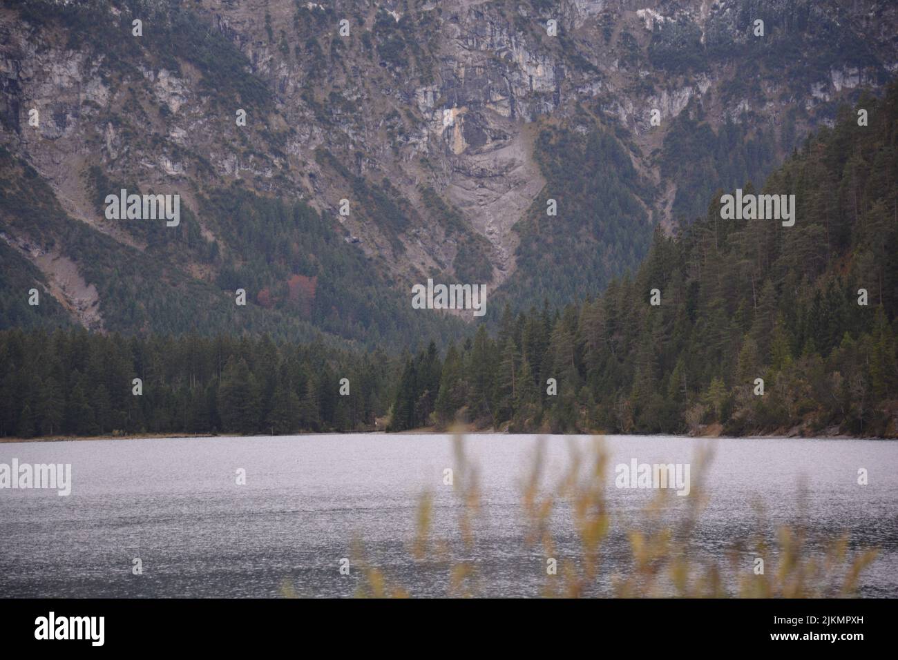 A scenic view of Plansee lake in Austria with pine tree forest and rocky mountain in the background Stock Photo