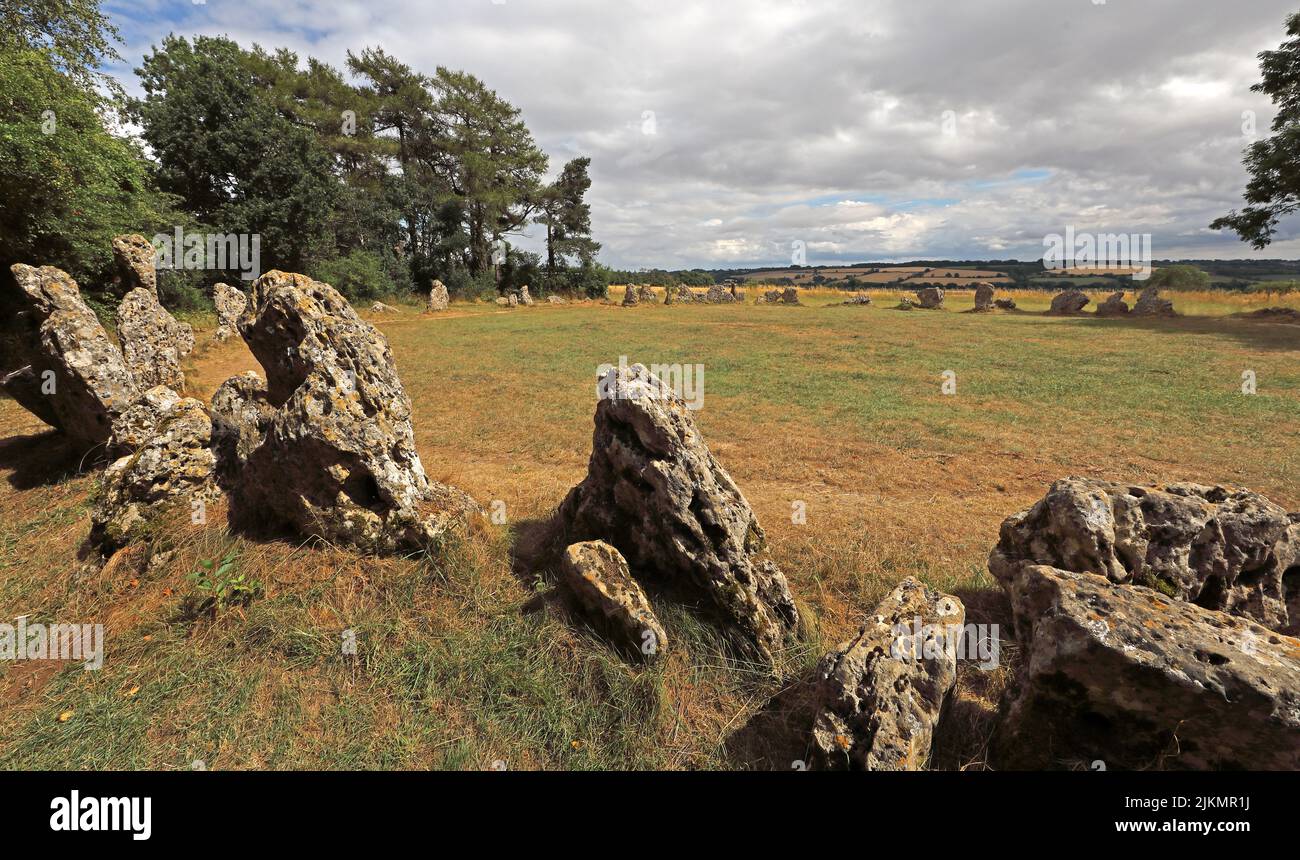 Rollright Stones 2500BC - The Kings men in a circle panorama, Little Rollright, Long Compton, Warwickshire, England, UK,  OX7 5QB Stock Photo