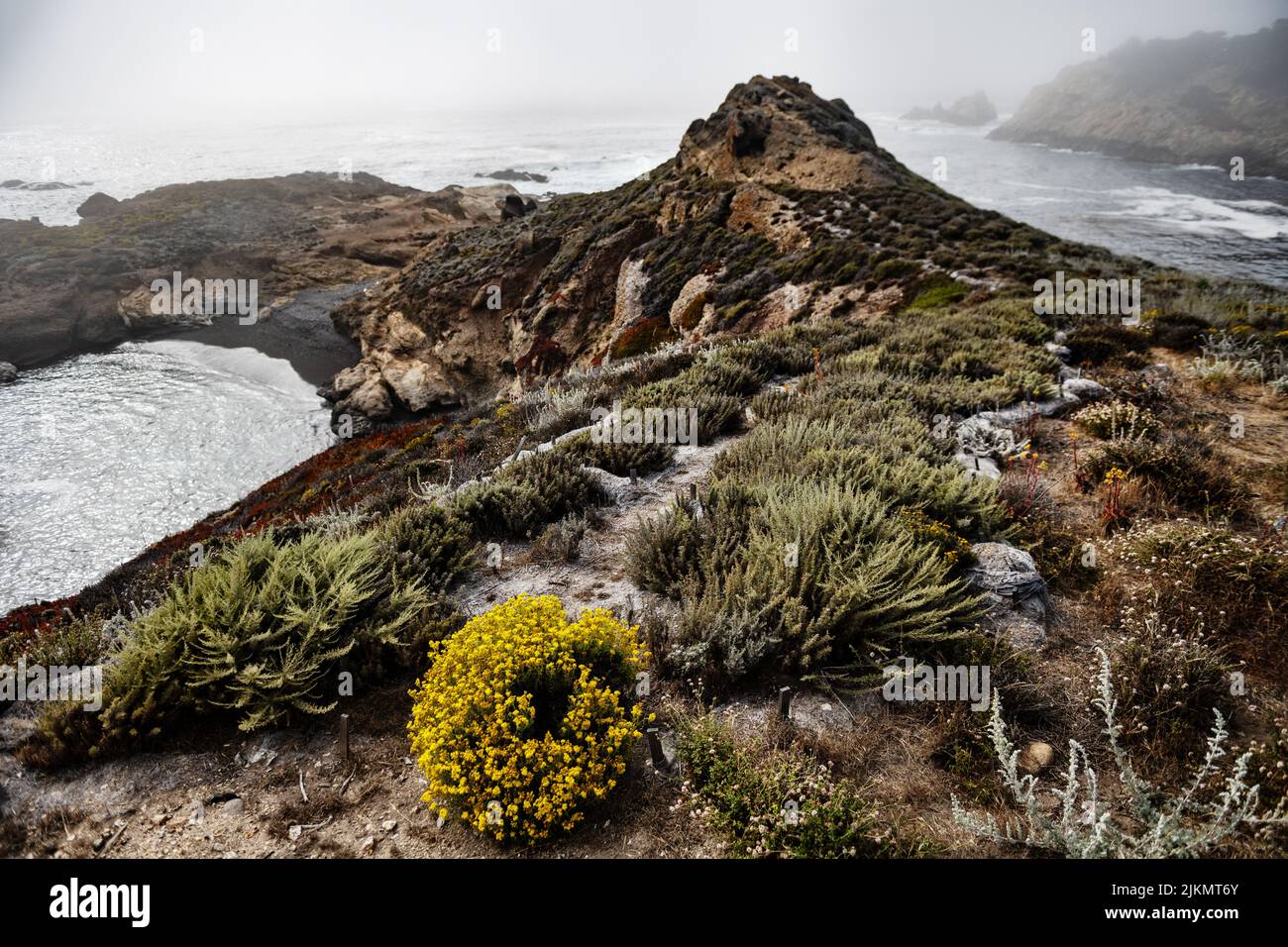 Coastline of point lobos state natural reserve, California Stock Photo