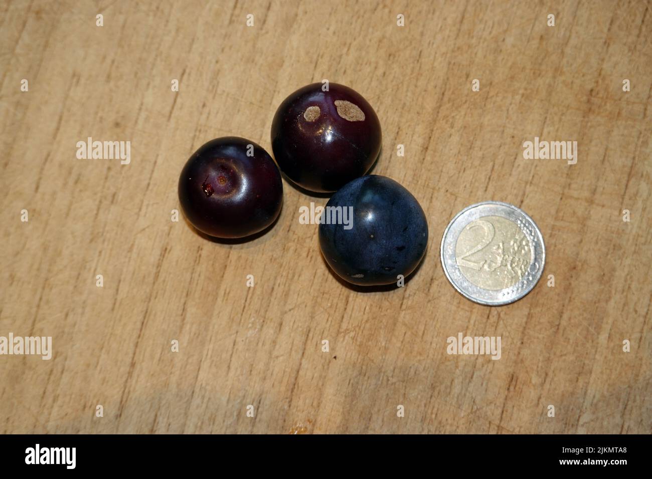 Kirschpflaumen (Prunus cerasifera) Stock Photo