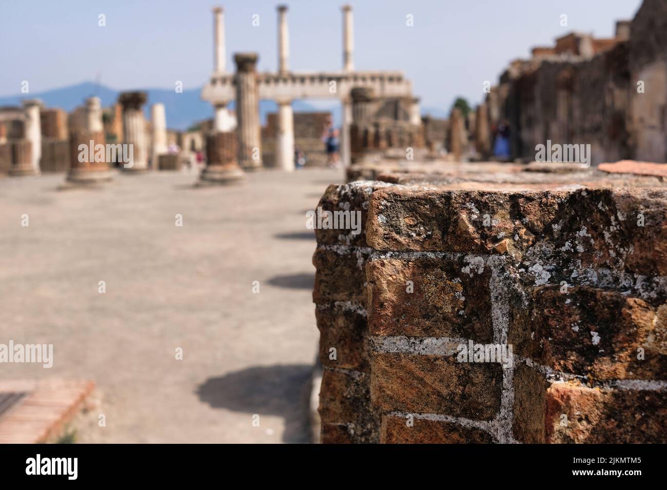 The Basilica, was the most sumptuous building of the Pompeii Forum, and
