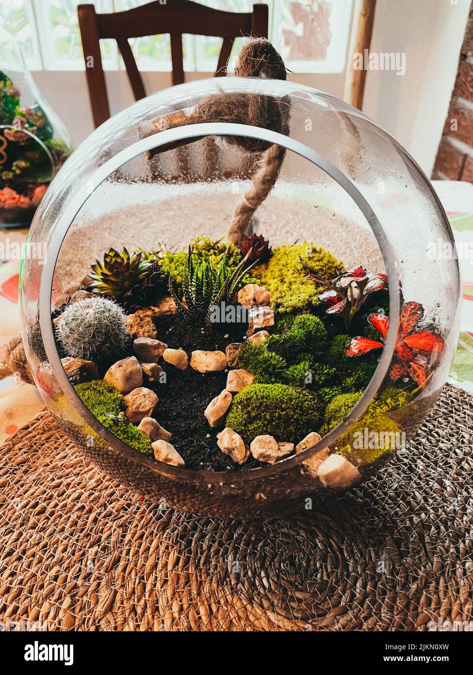 Succulent terrarium hi res stock photography and images Alamy