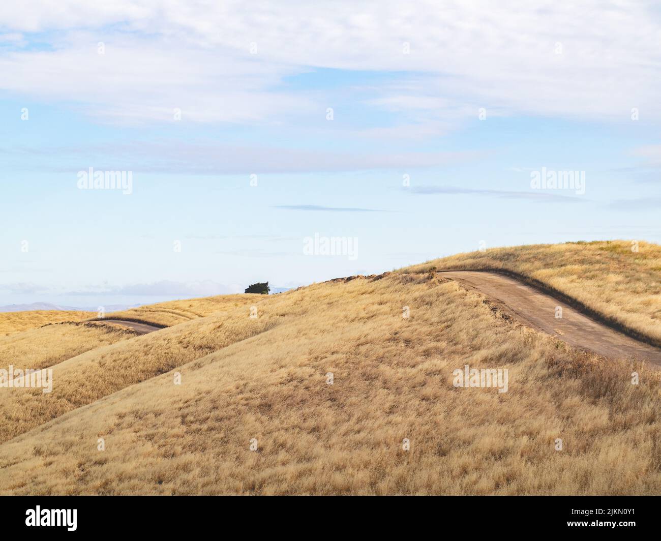 Golden farmland rolling hills hi-res stock photography and images - Alamy