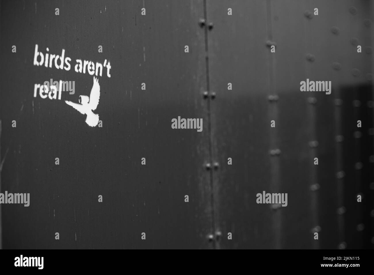 A closeup grayscale shot of the birds aren't real quote on the metal wall Stock Photo