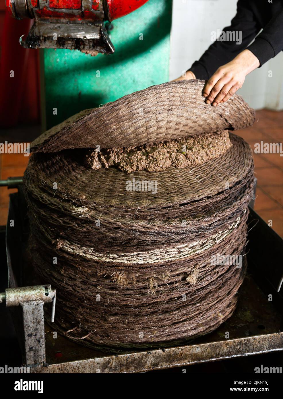 Worker forming stack from fiber mats with olive paste Stock Photo Alamy