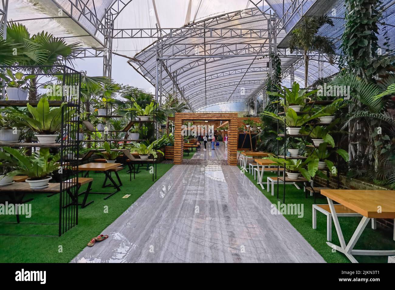 Taman Bunga Celosia Park, Bandungan, Semarang, Indonesia Stock Photo