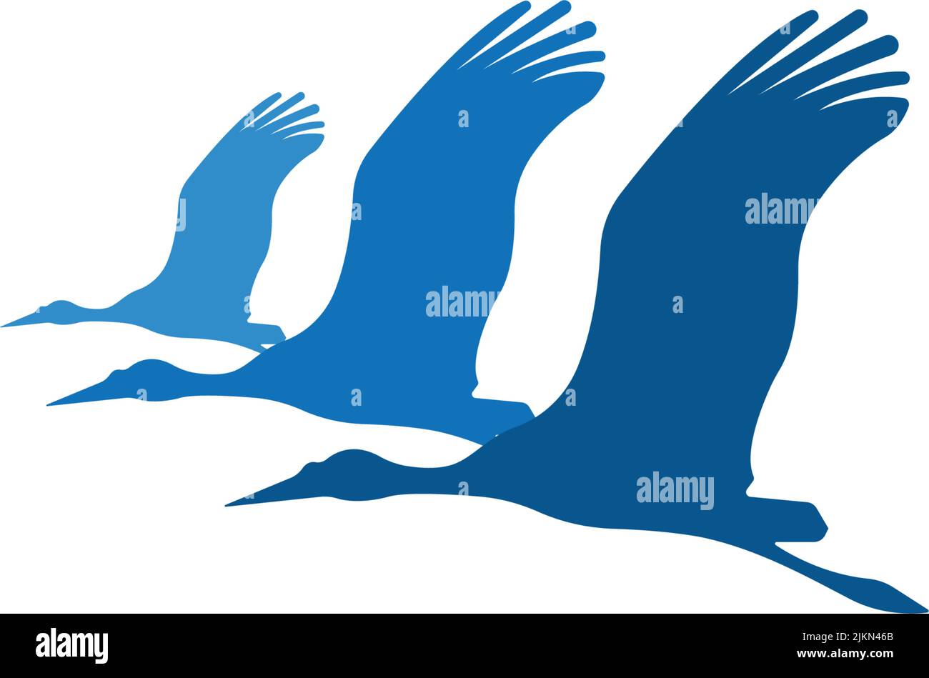 Three birds in different shades of blue isolated on a white background
