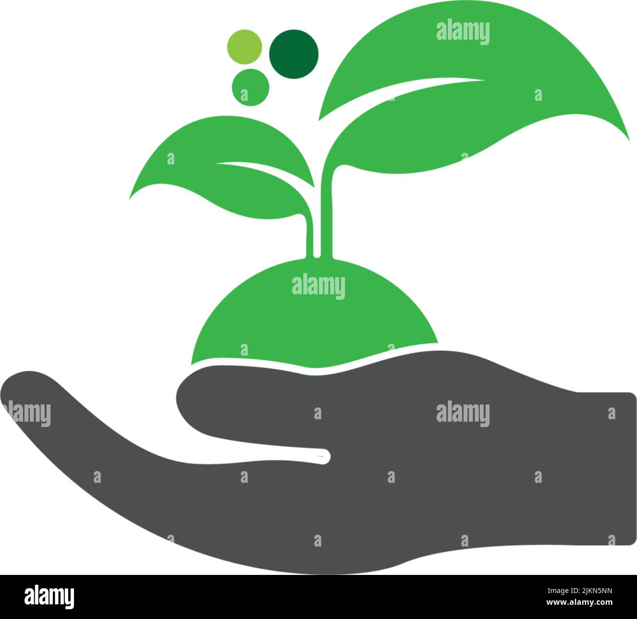 A vector illustration of a hand holding a plant Stock Vector Image ...
