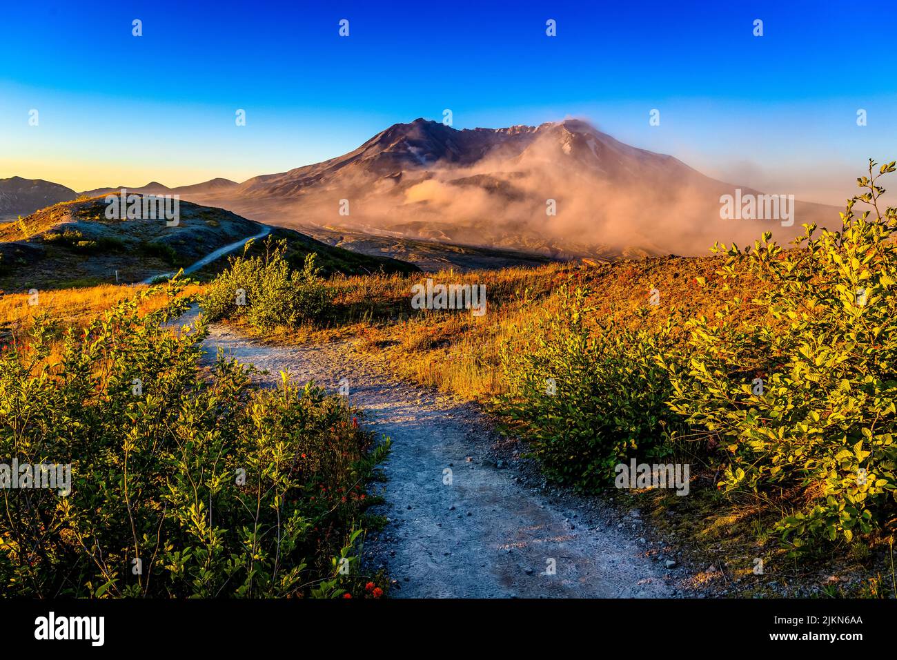 Mt St Helens walking path on a warm early morning Stock Photo - Alamy