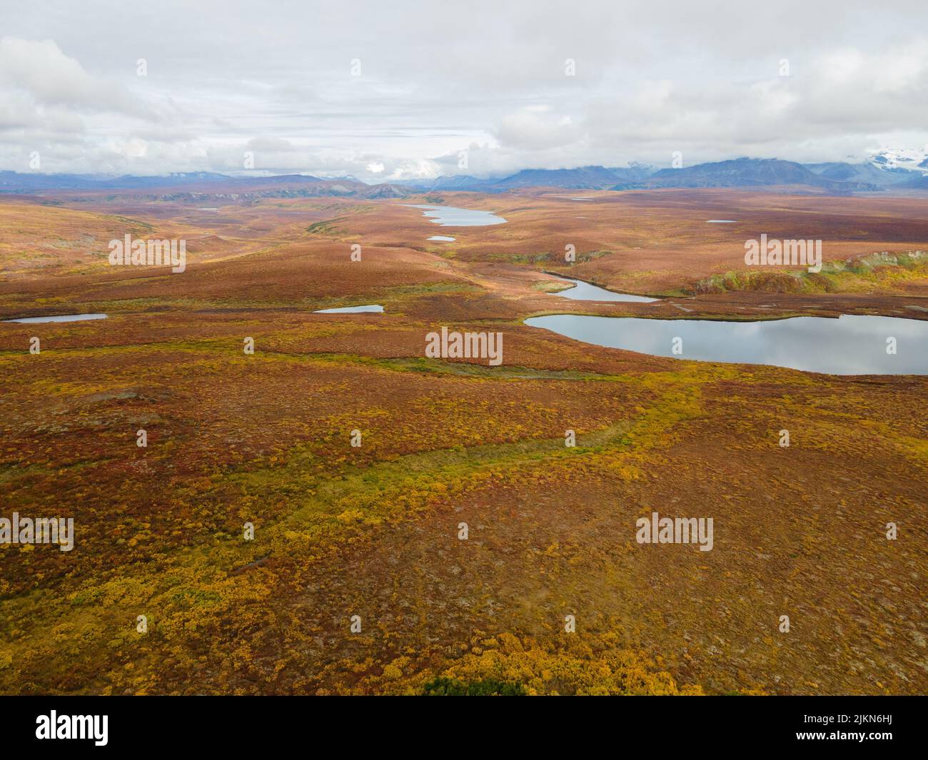 A view of small lakes with Alaska Range in autumn colors in the background, Alaska, USA Stock Photo