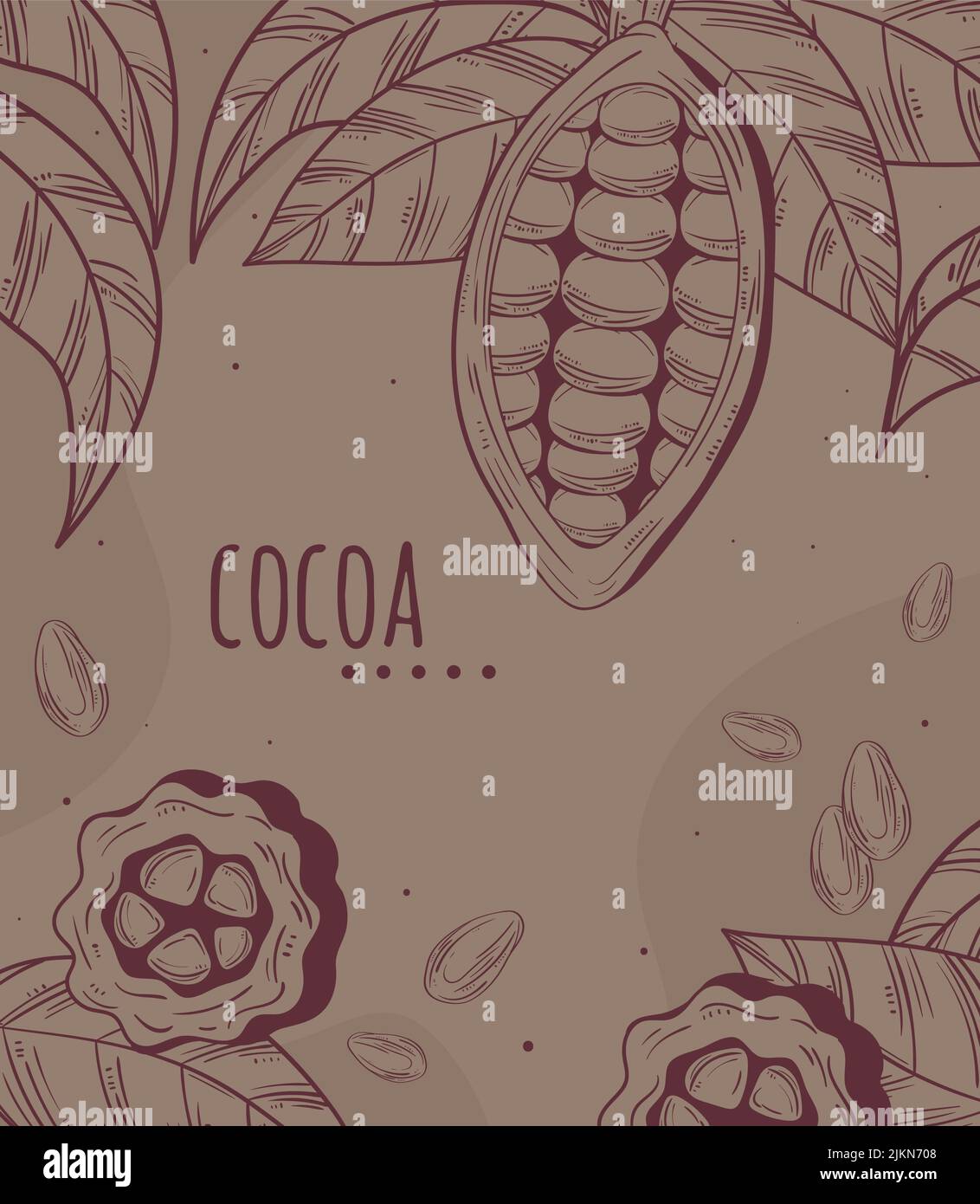 cocoa and cacao seeds Stock Vector Image & Art Alamy
