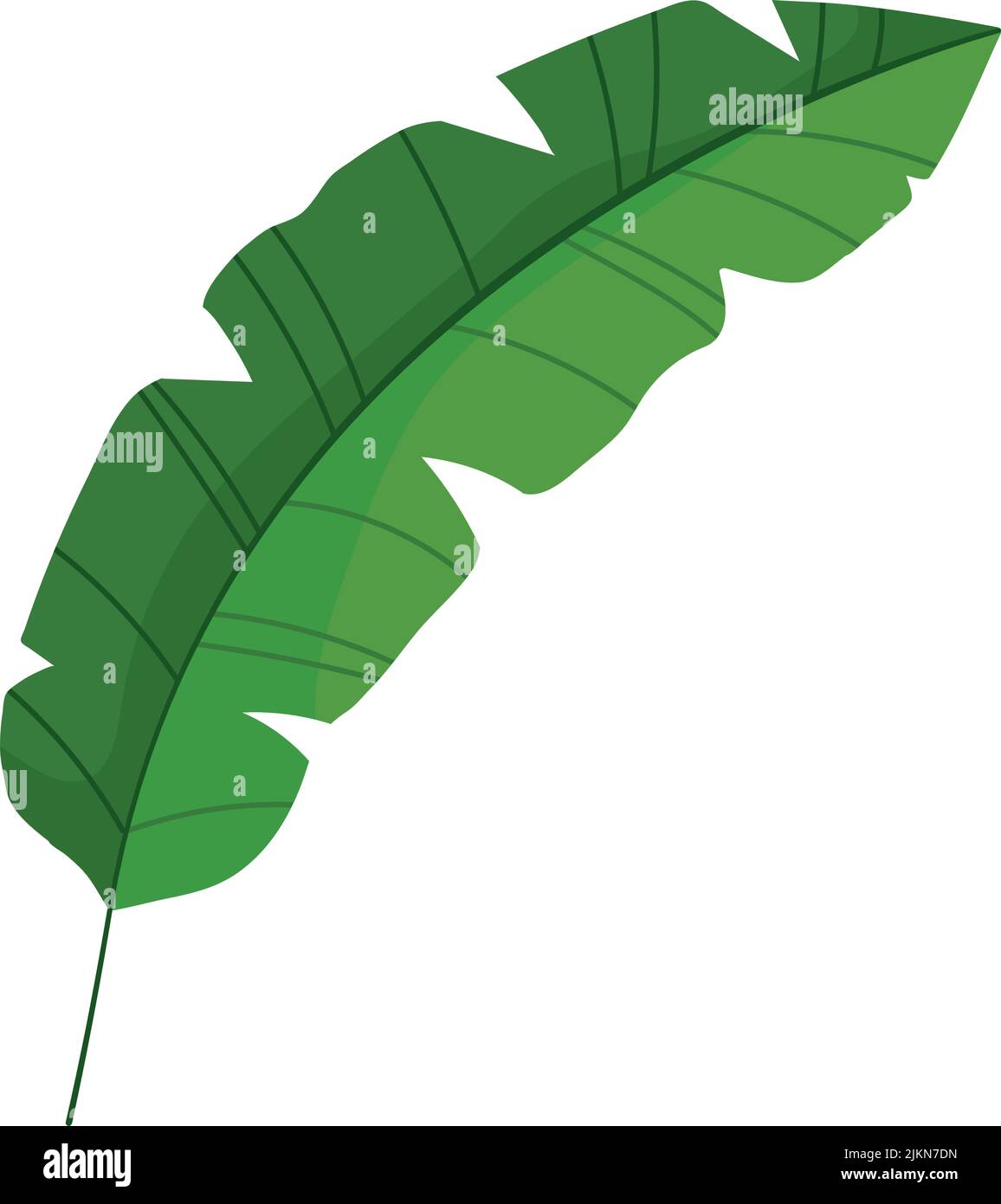tropical leaf icon Stock Vector Image & Art - Alamy