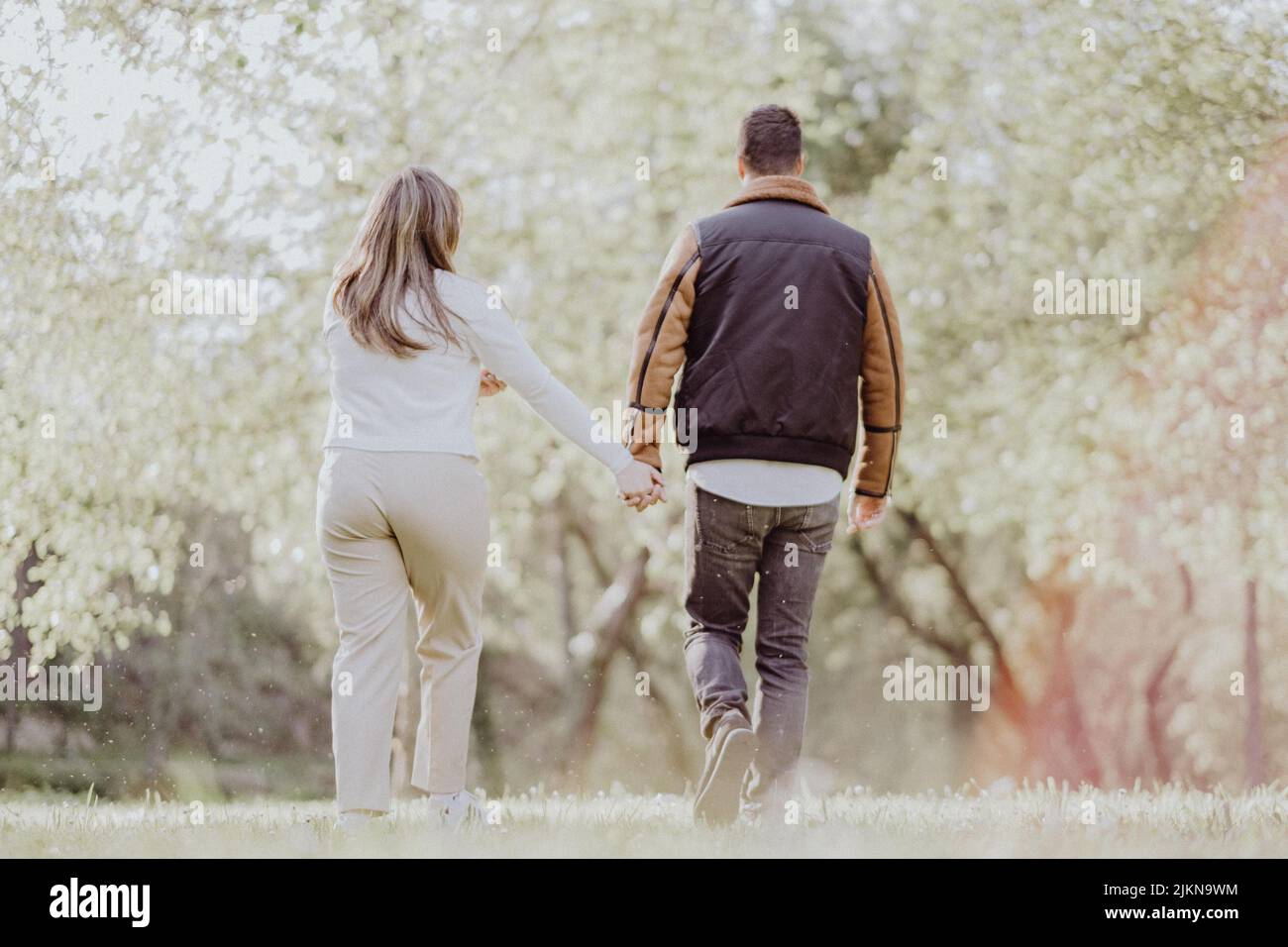 A back view of a couple walking hand in hand with each other in the ...