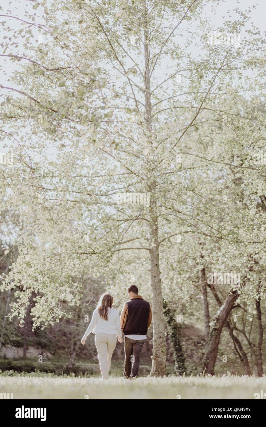 A back view of a couple walking hand in hand with each other in the ...