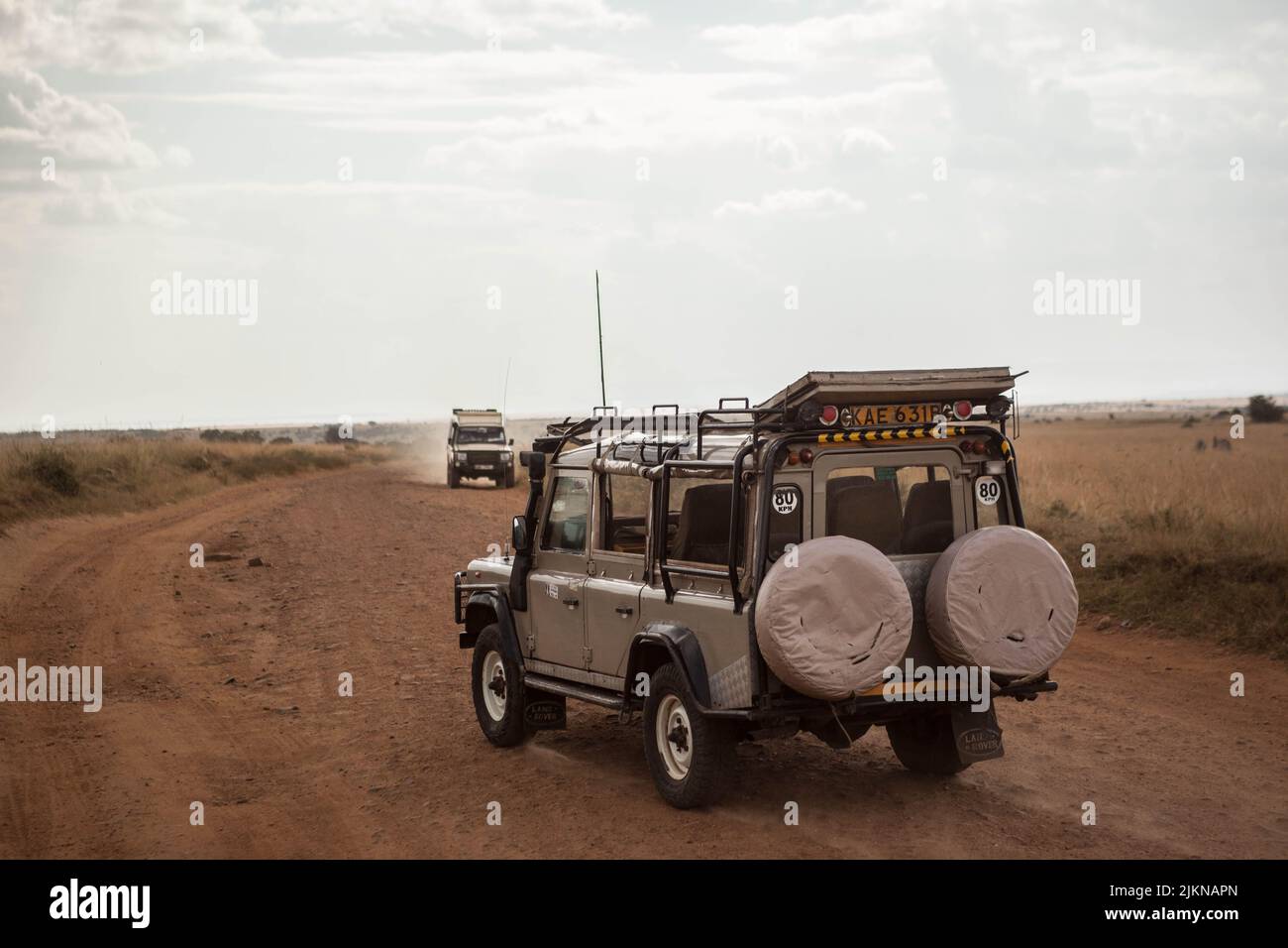 The cars in the savanna in Maasai Mara National Reserve, Kenya. Stock Photo