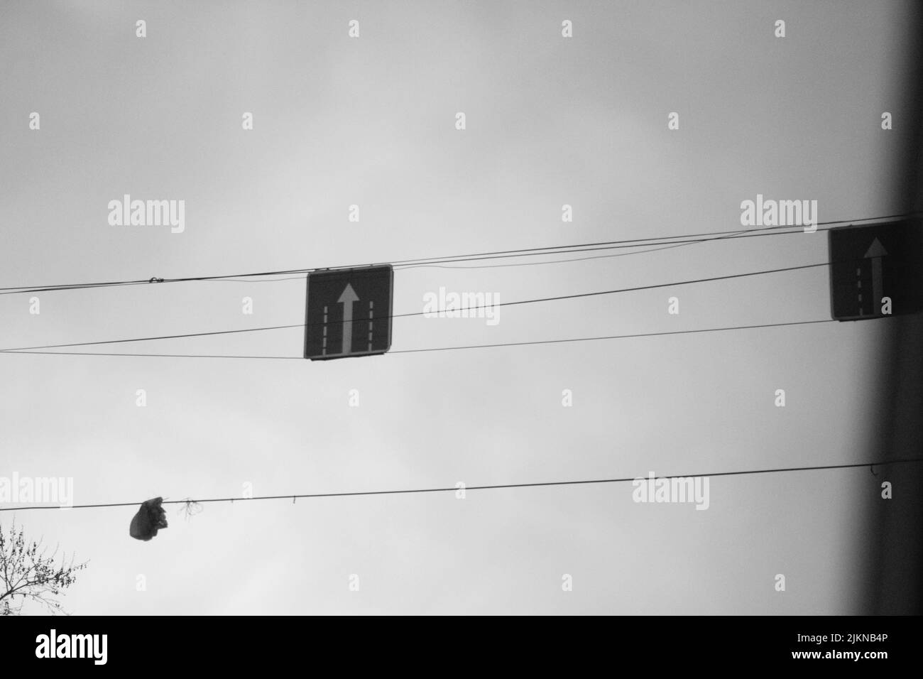 A grayscale shot of street signs of directions hanging on wires outside