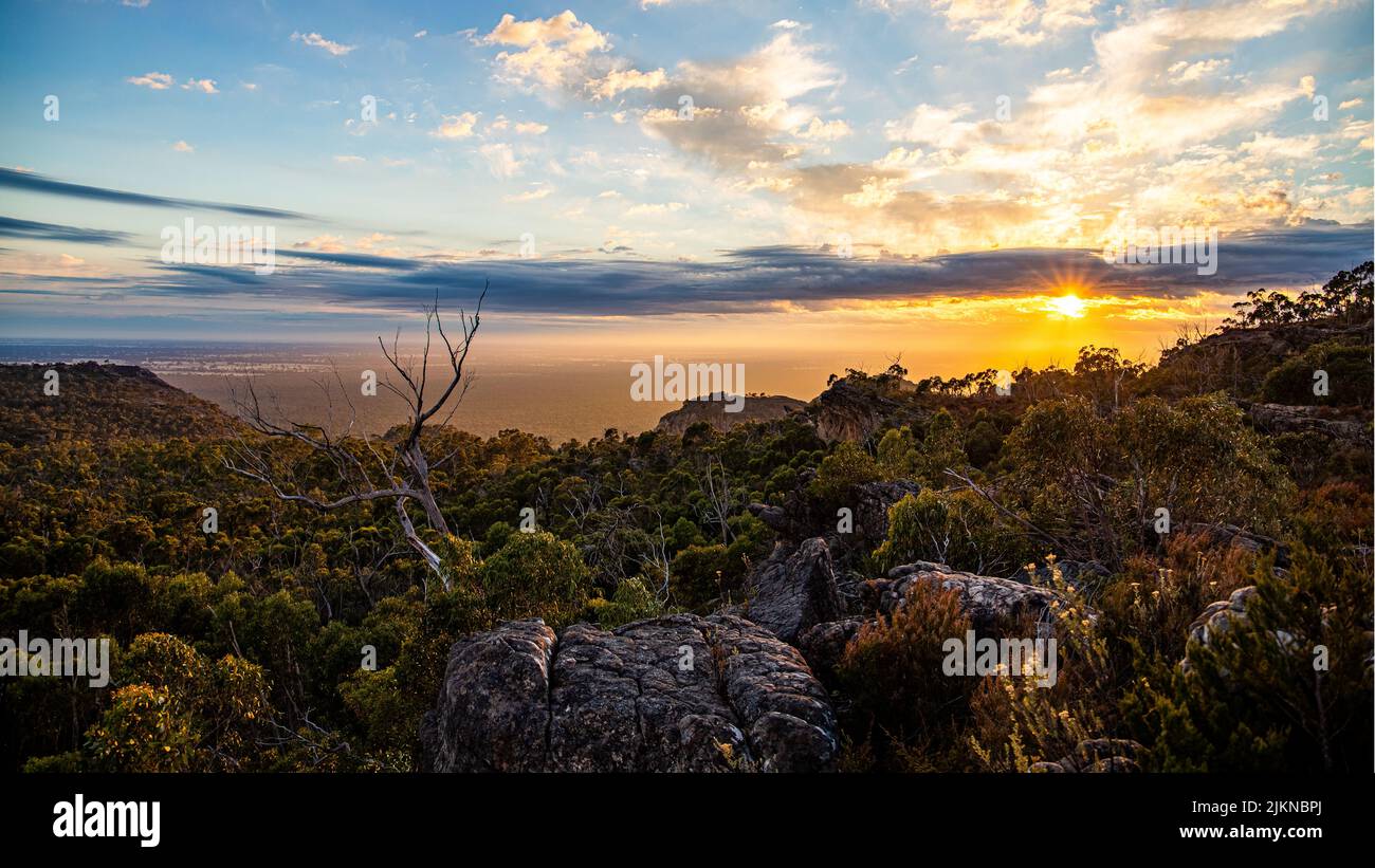 The growth of bush plants with rocks under cloudy sky and sunrise time