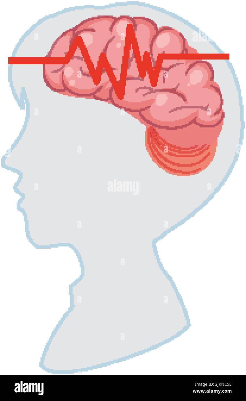 Human brain isolated vector illustration Stock Vector Image & Art - Alamy