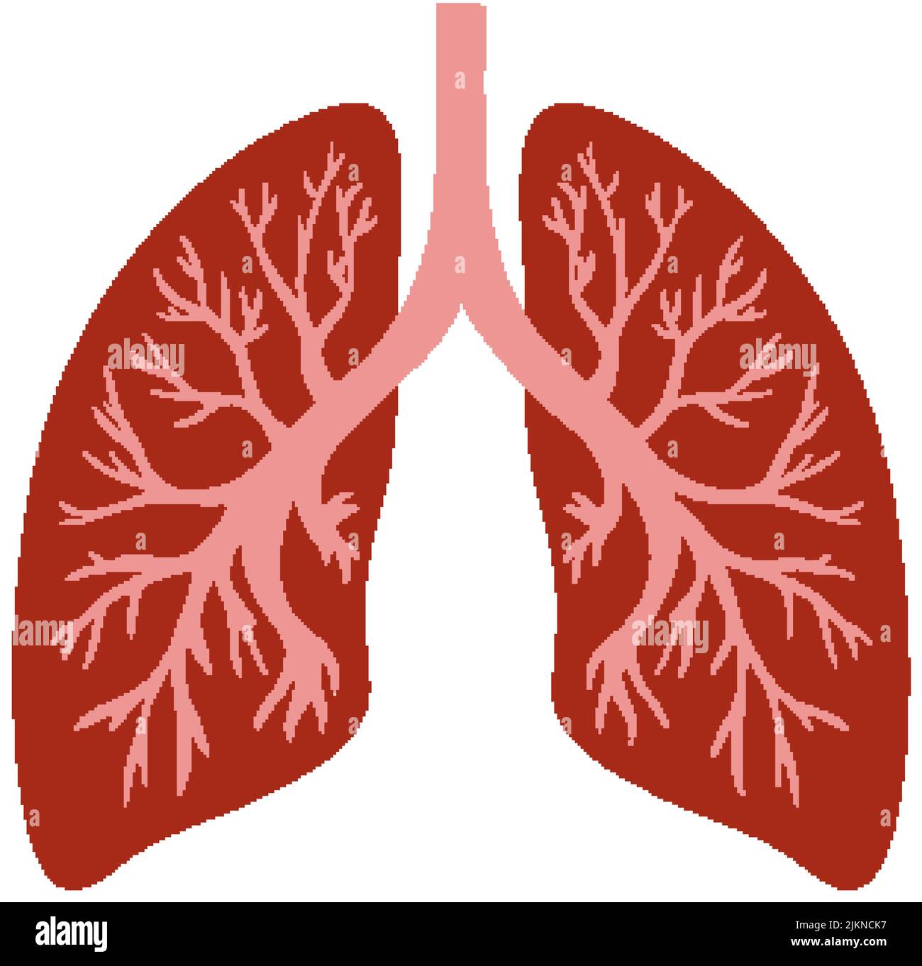 Artistic lungs hi-res stock photography and images - Alamy