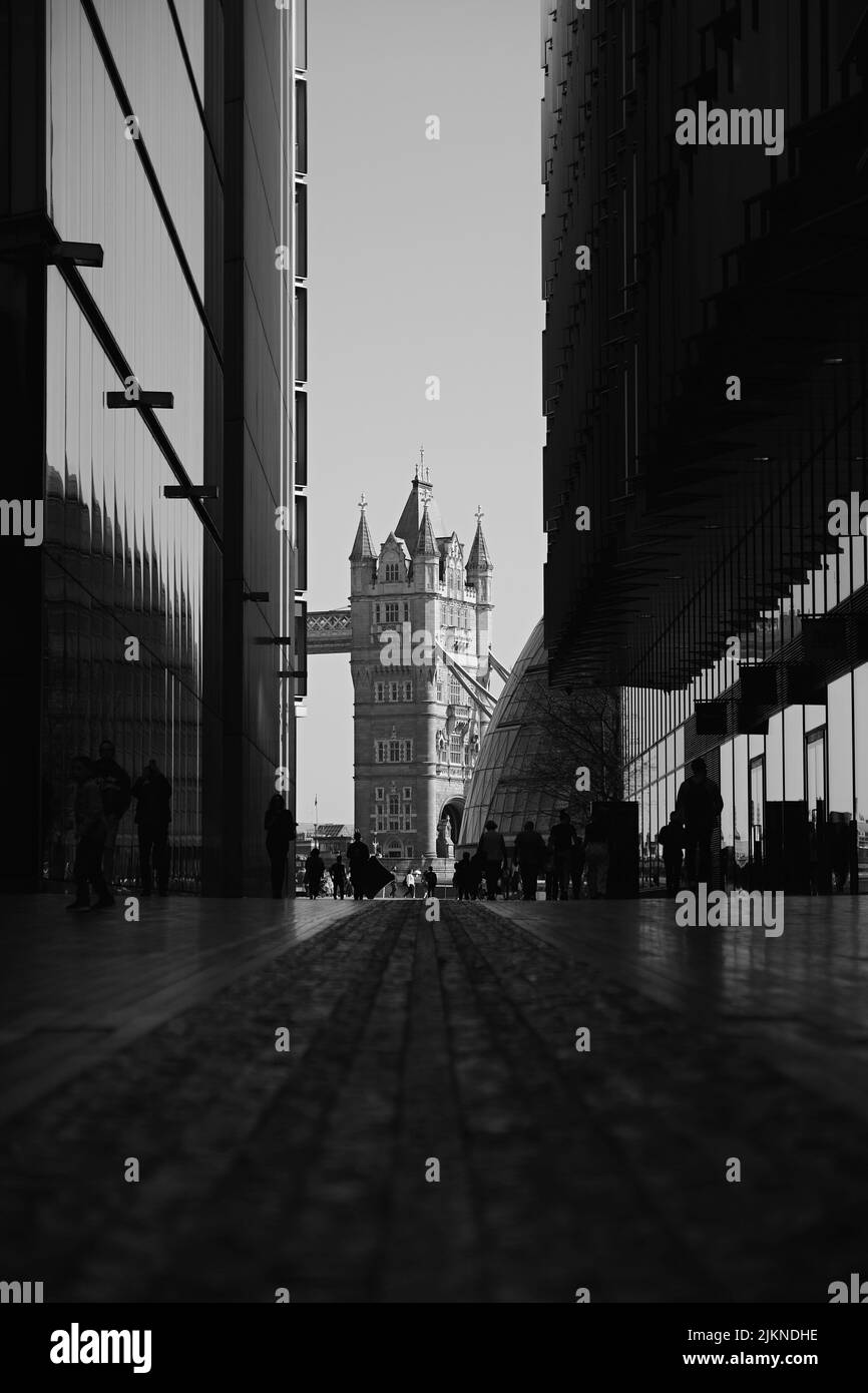 A vertical grayscale shot of the modern buildings and Tower Bridge in the distance in London Stock Photo