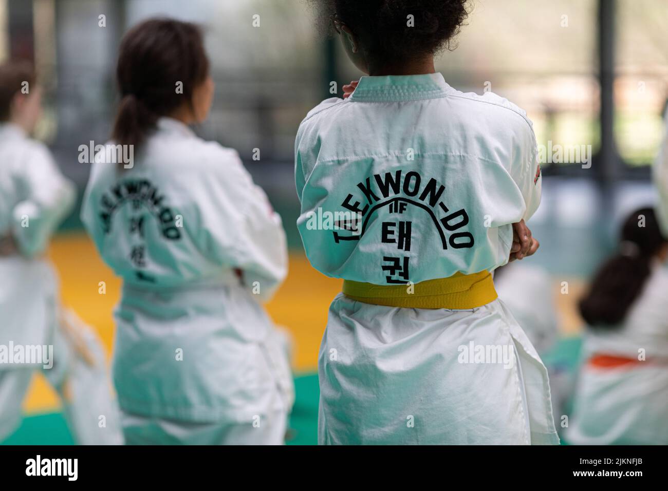 Taekwondo Protection Hi res Stock Photography And Images Alamy taekwondo-protection-hi-res-stock-photography-and-images-alamy
