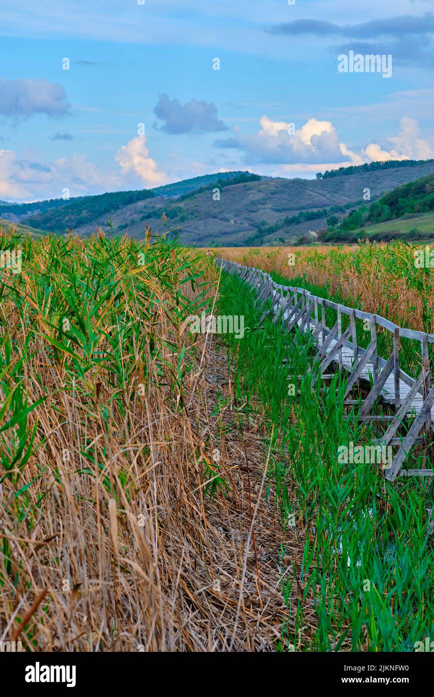 Rural vertical hi-res stock photography and images - Alamy