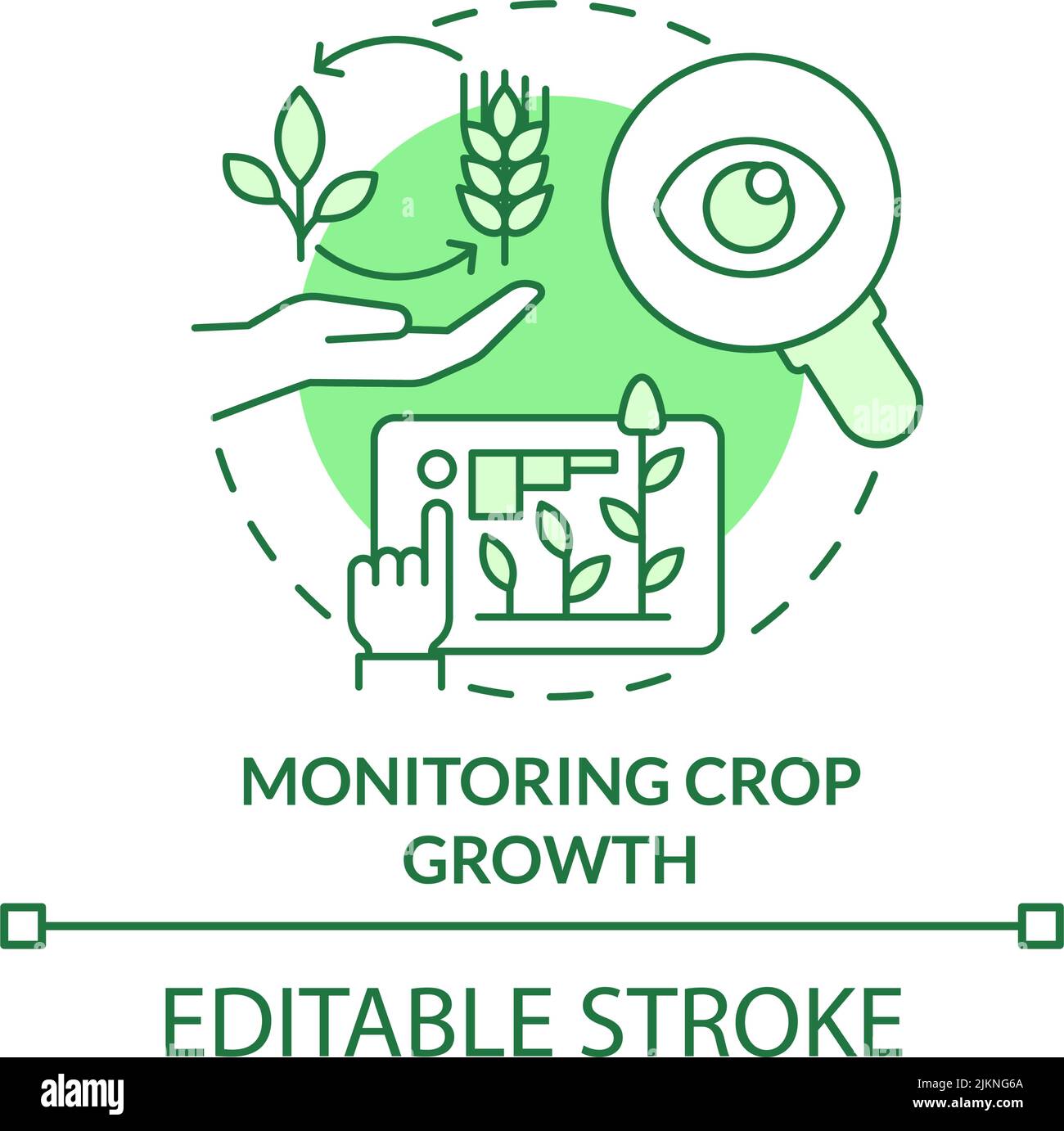 Monitoring crop growth green concept icon Stock Vector