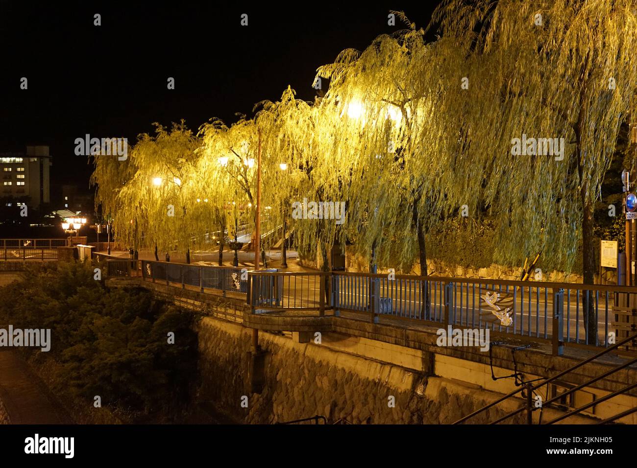 The street light poles between willow trees at night Stock Photo Alamy