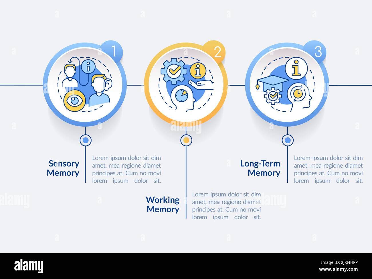 Effective knowledge retention circle infographic template Stock Vector