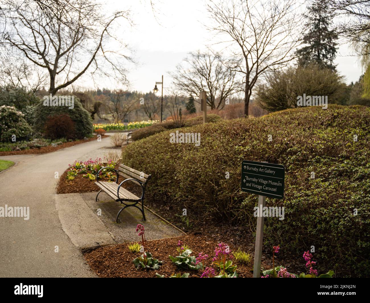 Beautiful blooming trees flowers hi-res stock photography and images ...