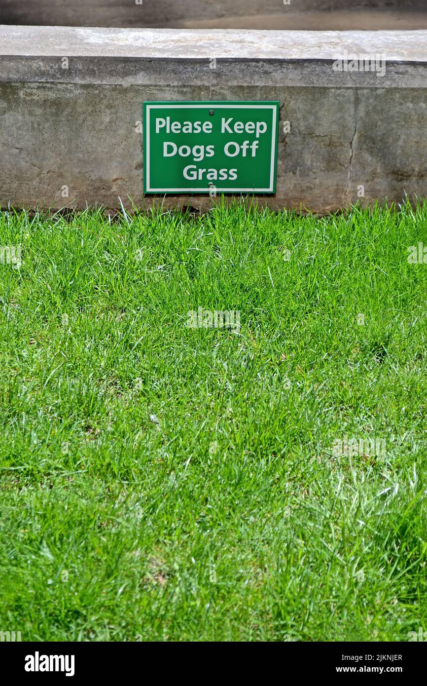 How Do You Keep Dogs Off New Grass