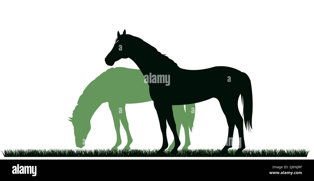 Horses are grazing. Picture silhouette. Farm pets. Animals domestic traditional. Isolated on white background. Vector Goat with kid near the herd Stock Vector