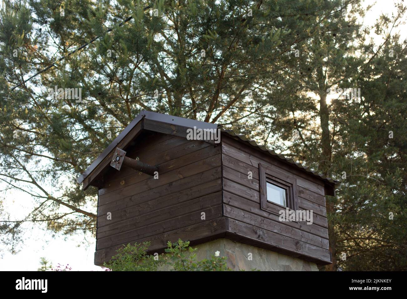 Small house for birds. Home for pigeons. Wooden tree house. Details of